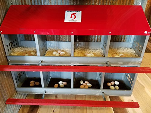 Duncan's Chicken Nesting Boxes - 8 Hole Metal Poultry Nest Box Wall Mount for Chickens, Hens, Ducks - Easy Egg Collection - Large Vented Holes - Fold Up Perches