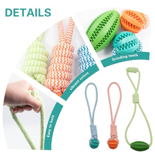 3 PCS Mini Pig Supplies Enrichment Toys, Hanging Treat Ball with Rope, Interactive Plastic Food Chew Ball for Pellets & Grains for Pet Pig