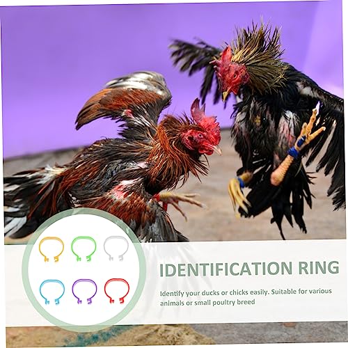 Yardwe 360pcs Chick Identification Rings Poultry Racing Bands Foot Rings for Chicken Poultry Reusable Material Random Color