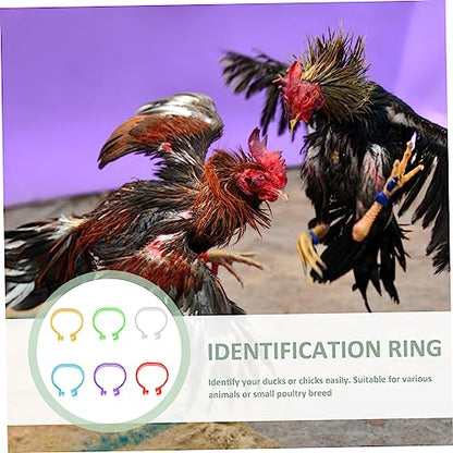 Yardwe 360pcs Chick Identification Rings Poultry Racing Bands Foot Rings for Chicken Poultry Reusable Material Random Color