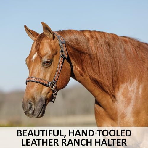 Schneiders Double S Tooled Leaf Padded Leather Ranch Halter for Horses | Elegant Design & Custom Fit for Your Horse - size: Full Horse