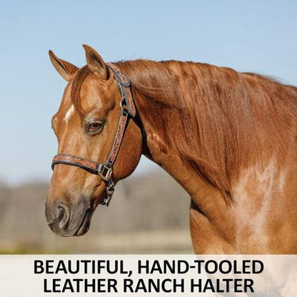 Schneiders Double S Tooled Leaf Padded Leather Ranch Halter for Horses | Elegant Design & Custom Fit for Your Horse - size: Full Horse