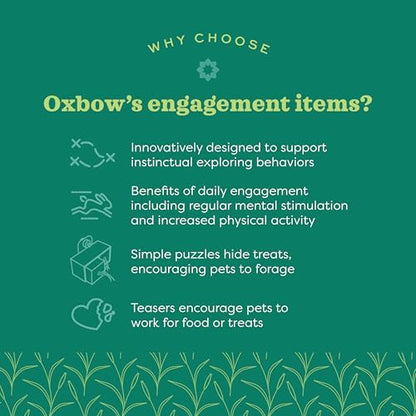 Oxbow Enriched Life Play Wall, Rabbit & Guinea Pig Toy, Enrichment for Bunny, Guinea Pig, Hamster, Rabbit, Chinchilla, Rat, Chinchilla Cage Accessories, Bunny Accessories for Cage, Small - size: .27 LB