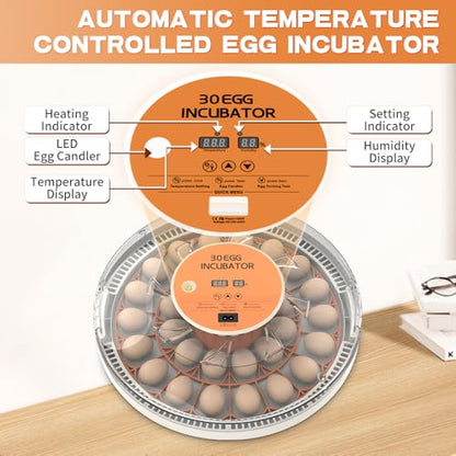 30 Egg Incubator with Automatic Temperature Control, 360° Auto Egg Turning, Humidity Display, LED Candler