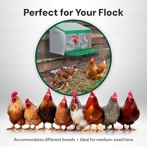 Homestead Essentials Classic Style 2 Compartment, Forward Rollout and Rollaway, Hen & Chicken Nesting Box with Integrated Perch and Protective Egg Laying Collection Lids - size: 2 Compartment