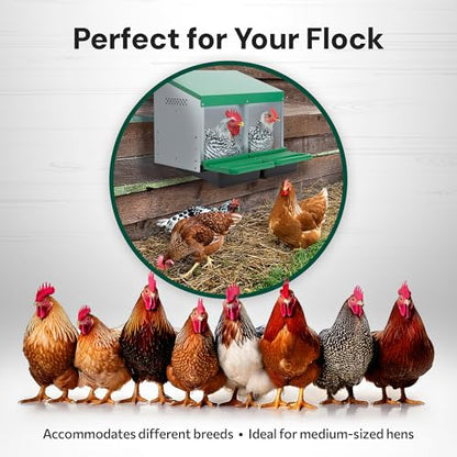 Homestead Essentials Classic Style 2 Compartment, Forward Rollout and Rollaway, Hen & Chicken Nesting Box with Integrated Perch and Protective Egg Laying Collection Lids - size: 2 Compartment