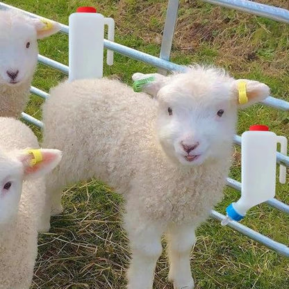 Lamb Feeding Bottle, 5 Pack 500ML Goat Milk Feeder with Hanging Hook Food Grade Plastic Nursing Bottle for Lambs Livestock