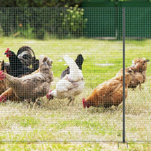 Non Electric Fence Netting 40" x164', Boundary Fence with Double Spiked Posts, Portable Poultry Fence All-Purpose Fencing for Dogs, Chickens, Ducks, Turkeys Suitable in Backyard, Garden, Farm