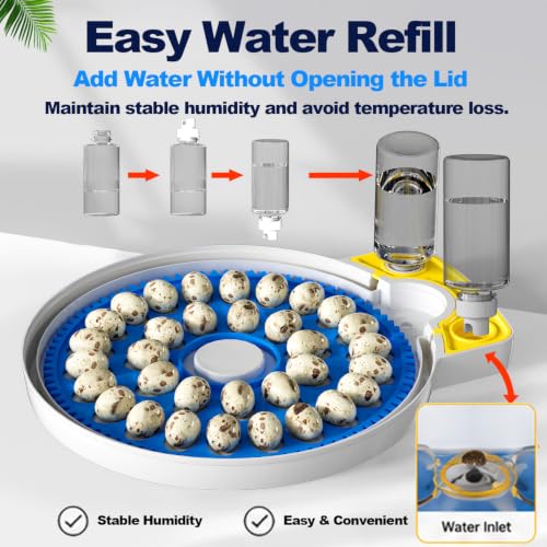 32 Quail Egg Incubator for Hatching Eggs, Dual Power Supply, Automatic Egg Turner, Humidity & Temperature Monitor, Egg Candler, External Water Filling, Bird Egg Incubator for Quail Dove