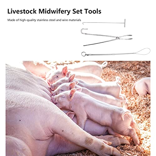 Zerodis Pig Midwifery Tools Set, Stainless Steel Veterinary Midwifery Rope Pliers Hook Pig Breeding Equipment Livestock Tool(3pcs)