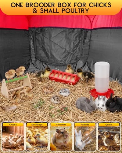 Magicfly Brooder Box for Chick with Heating Plate, 5-in-1 Chicks Starter Kit Includes Brooder Plate, Feeder, Waterer, Perch, Holds up to 15 Chicks, Ducks & Quail