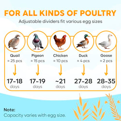 18 Egg Incubator with Automatic Egg Turning and Humidity Control – Egg Incubators for Hatching Eggs – Egg Candler, Water Bottle Refill, Air Vent, 360° View – Incubadora de Huevos de Gallina