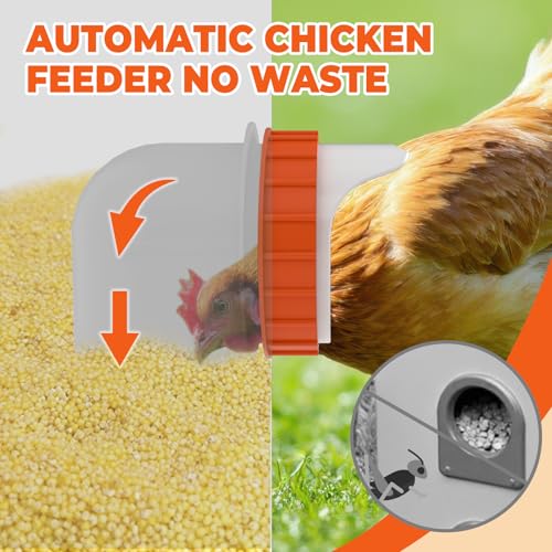 4 Ports Metal Chicken Feeder No Waste 25 Pounds Automatic Poultry Feeder with Latch & Handle for Chickens Bantams Pheasants Poultry Coop Rodent Proof - size: 4 Ports (25 LBS)