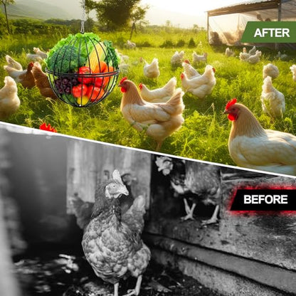 4 Pack Hanging Chicken Feeders for 10+ Chicken, 7.5 Inch Iron Rodent-Proof Duck Treat Dispenser Balls with 17.7 Inch Adjustable Hanging Chain for Feed and Toys, Weatherproof & Easy Install
