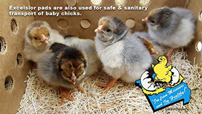 Cackle Hatchery Laying Hen Nest Box Pads Made in USA from Sustainable Aspen Exceslior - 13x13 Nesting Box Liners (12 Pack) - size: 12 Pack