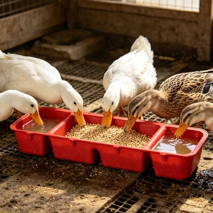 KICHOUSE 4PCS Livestock Feeder Trough: Chickens Ducks Feeding Rack - Wall Mounted Hay Rack for Barn Pasture - Multi-Compartment Trough Feeder for Grain Pellets
