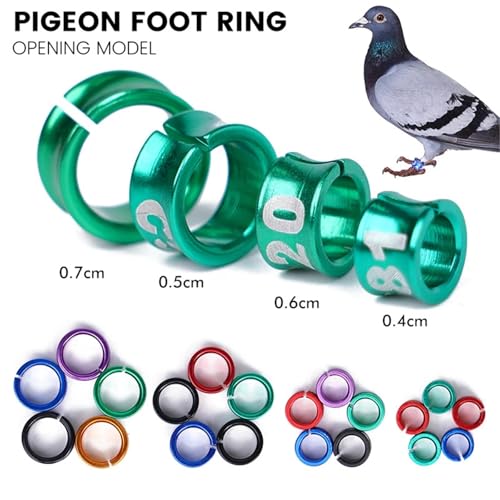 Plastic Clip Quail Leg Bands 80pcs Bird Aluminum Ring with Word ID 4/5/6/7mm Bird Ring Pigeon Foot Ring Bird Outdoor Flying Training Tool(4mm) - color: 4mm
