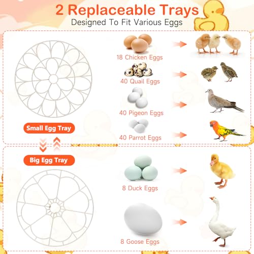 Incubators for Hatching Eggs 18 Egg Automatic Egg Turning and Humidity Control Incubator for Chicken Duck Home Classroom Lab
