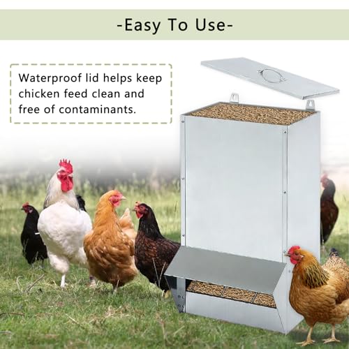 30lbs Capacity Galvanized Chicken Feeder,Outdoor Poultry Feeder with Weatherproof Lid,Hanging Chicken Feeder, Coop Food Dispenser