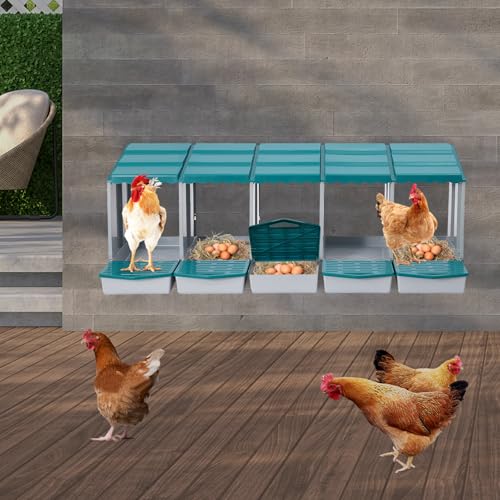 Chicken Nesting Boxes, 5 Compartment Nesting Boxes for Laying Eggs, Roll Away Nesting Box Egg Collection Tray, Wall Mount Poultry Roll Away Chicken Laying Boxes (Green) - color: 5 Compartment Nesting Boxes (Green)