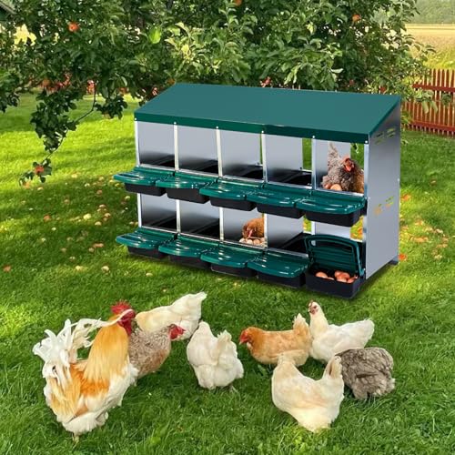 GarveeHome 2-Tier Chicken Nesting Box, 10 Compartment Metal Chicken Laying Boxes with Waterproof Roof ＆ Removable Trays for Hens, Poultry，Easy Egg Collection - color: Green, size: 54.9"L x 17.7"W x 8.1"H