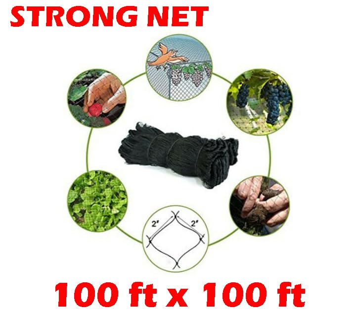 Strong All Season 100ft x100ft Net Long Lasting Netting for Bird Poultry Aviary Game Pens New 2" Square Mesh Size - size: 100ft x 100ft