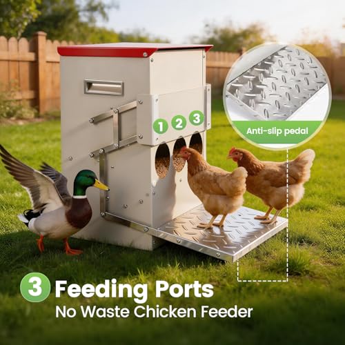 25LB Automatic Chicken Feeder No Waste Metal Gravity Poultry Feeder Treadle Feeder 3 Feeding Ports with Lid, Weatherproof Galvanized Chicken Food Dispenser for Ducks, Goose, Turkey
