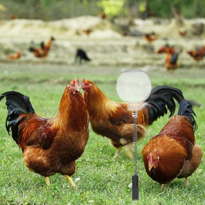 DOITOOL 4PCS Chicken Feeding Toy, Enrichment Toys with Spring and Ground Stake, Swing Treat Dispenser for Hens, Poultry, Duck, Birds, Parrot, Cat