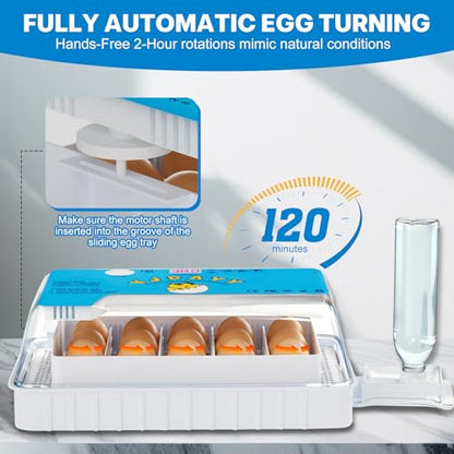 Incubators for Hatching Eggs 15-35 Eggs Incubator with Automatic Egg Turning and Temperature Humidity Control Display LED Candler Poultry Incubator for Hatching Chicken Duck Quail (Blue)