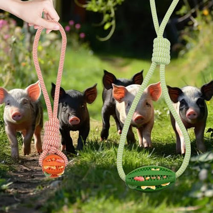 3 PCS Mini Pig Supplies Enrichment Toys, Hanging Treat Ball with Rope, Interactive Plastic Food Chew Ball for Pellets & Grains for Pet Pig