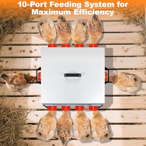 100LB Large Automatic Chicken Feeder–10 Feeding Ports No-Waste Galvanized Metal Chicken Feeder Box with Adjustable Legs & Locking Lid Poultry Feeder for Chickens,Ducks,Geese,Rust-Resistant - size: 100LB