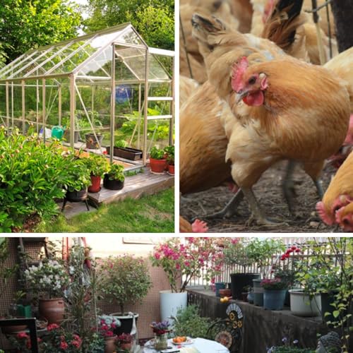 Plastic Wire Mesh Fence 16in x 10Ft Plastic Chicken Wire Mesh for Poultry, Dogs, Rabbit, Snake Barrier & Gardening Versatile Plastic Fencing (16in x 10Ft, Green) - color: Green, size: 16in x 10Ft