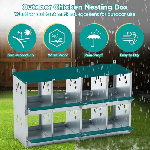 Yafylly Chicken Nesting Boxes, Wall Mountable Metal Chicken Coop Nesting Box, Easy Egg Collection Roll Away Nesting Boxes Chicken, Roosting Boxes for Chickens, 8 Compartments - color: Green, size: 8 Compartment