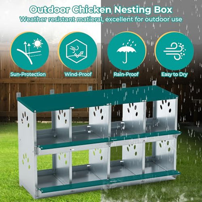 Yafylly Chicken Nesting Boxes, Wall Mountable Metal Chicken Coop Nesting Box, Easy Egg Collection Roll Away Nesting Boxes Chicken, Roosting Boxes for Chickens, 8 Compartments - color: Green, size: 8 Compartment