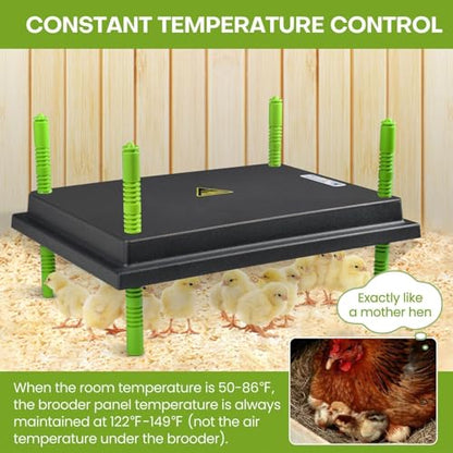 Chick Brooder Heater Plate, 12"x16" Warmer Brooder Plate for Chicks with Adjustable Height, 30W Temperature Control Brooder Heating Plate for 40 Baby Chicks Duck - size: 16.3"L x 12.0"W x 3.0"H