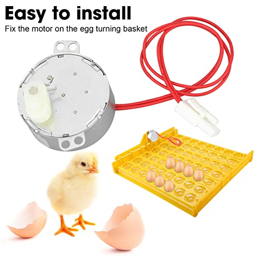 Egg Turnner Engine Replacement Egg Turner Motor 4W Turner Rotator Incubator for Chickens Ducks Goose Birds Egg (12v) - size: 12v