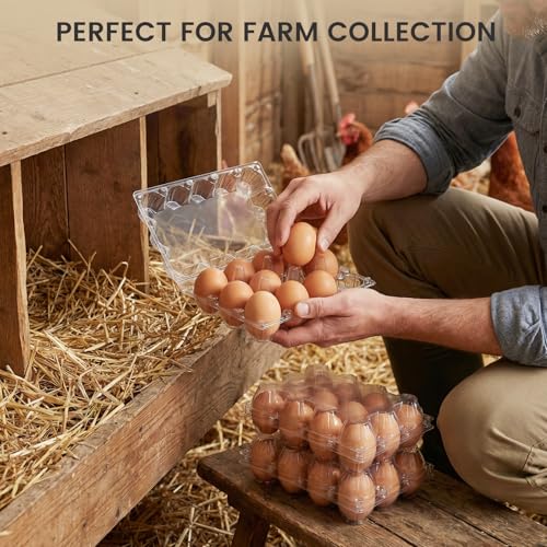 LOVEINUSA 60 Pack 12-Count Clear Plastic Egg Cartons with 60 Date Labels, Reusable PET Dozen Egg Holders for Medium Chicken Eggs, Clamshell Cartons for Farm, Home Fridge & Market Display