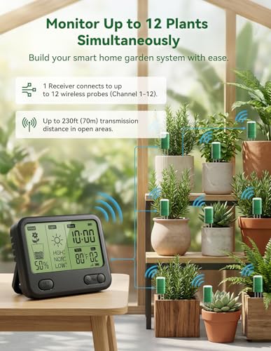 Nexuslab Wireless Soil Moisture Meter with LCD Receiver – 3‑Probe 3‑in‑1 Sensor (Moisture, Temperature, Light), 230 ft RF Range, Waterproof, Long Battery Life for Indoor/Outdoor Plants and Gardens - size: Main Unit + 2 Sensors