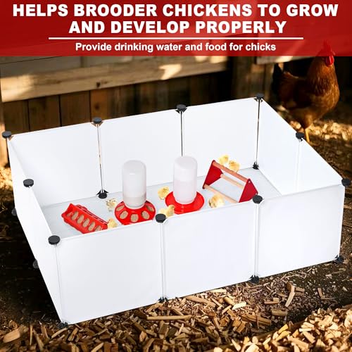 Chicken Brooder Box for Chicks, Brooder Box with Feeder and Waterer, Chick Starter Kit with Chick Perch for Small Poultry Ducks Quail
