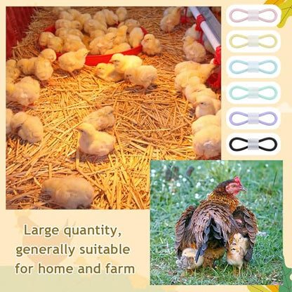 Patelai 100 Sets Baby Chick Leg Bands Splay Hobbles Brace Adjustable Poultry Leg Bands for Newborn Chick Bird Ducks of 1 to 3 Days Newly Hatched