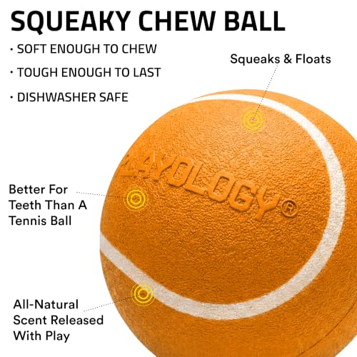 Playology Dog Toys | Squeaky Chew Ball for Large Dogs | Cheddar Cheese Scented Jumbo Dog Ball | Bouncy Floating Chew Toys for Fetch - size: Jumbo, style: Cheddar Cheese