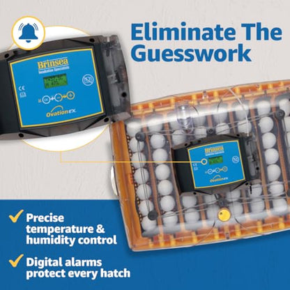 Brinsea Ovation 56 EX Egg Incubator and Book, Automatic Egg Turning and Humidity Control for Hatching 56 Chicken, Duck, Other Bird Eggs, Precision Digital Controls - style: Not Connected + Book