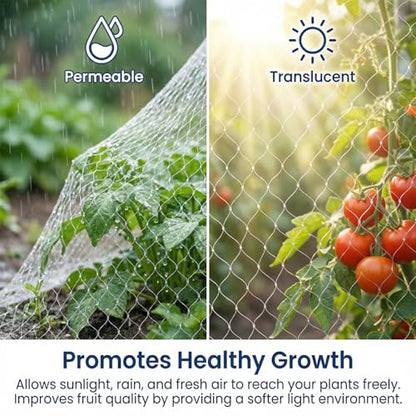 GWHOLE 33 x13 Ft Bird Netting for Garden Tree and Plant Protection, Garden Netting with 1 Inch Mesh Net for Anti Bird Chicken Deer, White - size: 33x13 ft, 1x1 inch mesh (Clear)