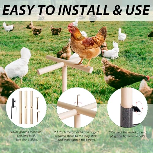 Chicken Gifts for Women, Chicken Coop Accessories, Christmas Birthday Gifts for Chicken Lovers, Chicken Roosting Bars Perch & Swing Toys for Coop, Chicken Ladder Playground for Chicks