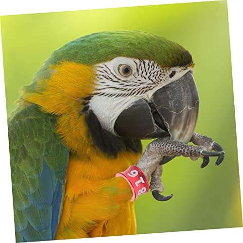 COLLBATH 50pcs Chicken Leg Bands Pigeon Foot Ring Homing Pigeon Parrot Leg Rings Small Closed Anklet