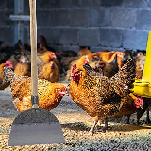 KESYOO Pig Chicken Manure Hoes for Gardening Sturdy Shovel Heads Long Handle Shovel for Digging Farm Cleaning Supply - size: 25X27X3.5cm