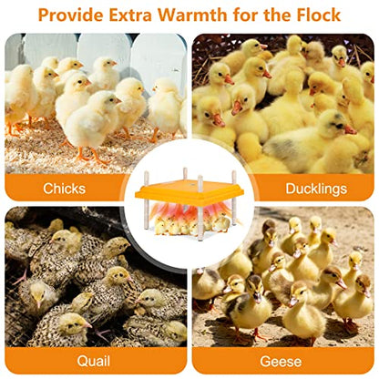 Brooder Heater for Chicks, 10" x 10" Thermostatically Controlled Brooder Heating Plate, Chick Brooder Heater with Adjustable Height and Angle