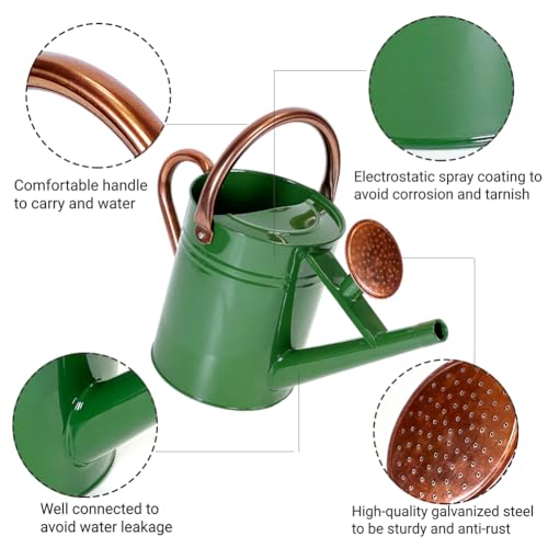 1 Gallon Metal Watering Can with Removable Spout, Nice Galvanized Steel Water Can for Indoor and Outdoor Plants (House Plants) - color: Green