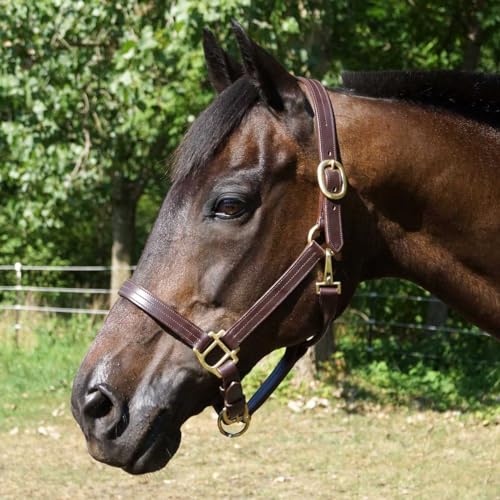 Country Pride Fairfield Triple Stitched Leather Halter - size: Horse