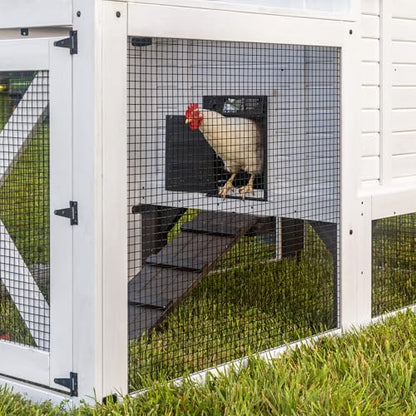 Backyard Discovery Sweetwater Cedar Wooden Chicken Coop for 4-6 Chickens with Run, Nesting Box, Automatic Door, Roosting Bars, Galvanized Steel Roof, Wire Mesh Protection, Ramp, Rooster and Hen House